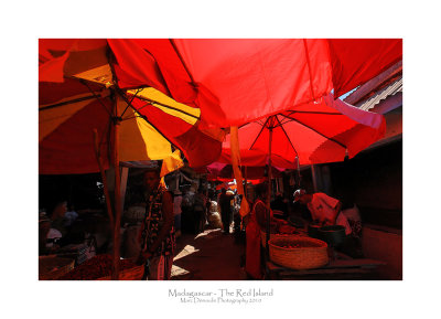 Madagascar - The Red Island 102
