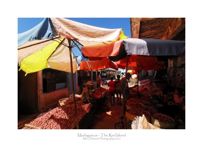 Madagascar - The Red Island 103