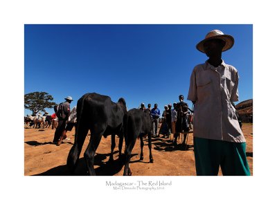 Madagascar - The Red Island 161