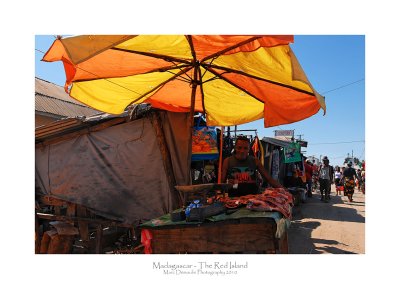 Madagascar - The Red Island 187