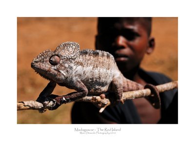 Madagascar - The Red Island 192