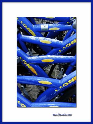 Blue bikes, Zandvoort