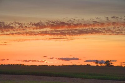 Rural Sunset 18598