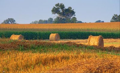 Three Bales 18477