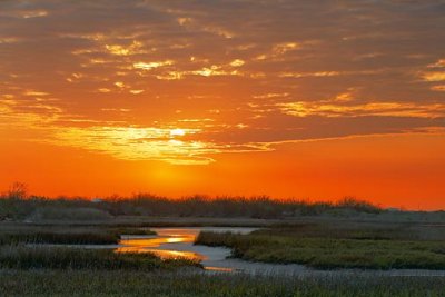Wetlands Sunrise 20090116