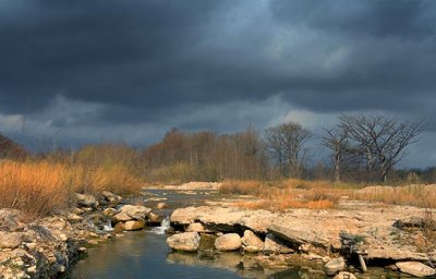 Guadalupe River 44796