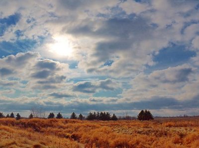 Upper Carp River Detention Basin 10833-4