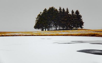 Trees Beside Frozen Pond 11377