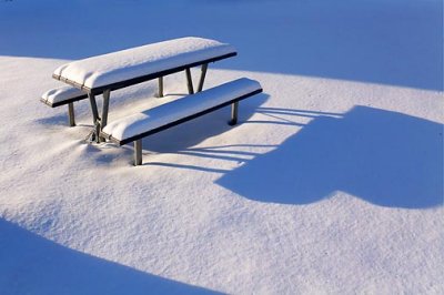 Snowy Picnic Table 11850