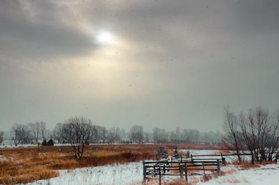 Winter Landscape 12042