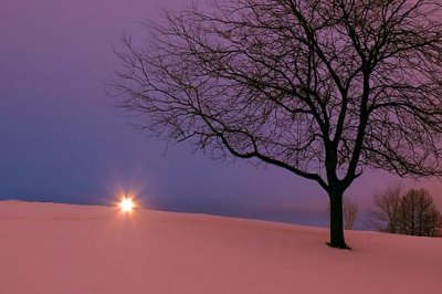 Snowscape At Dawn 12150