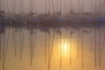 Foggy Harbor Sunrise Reflection 4703