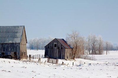 Snowy Farm 13122