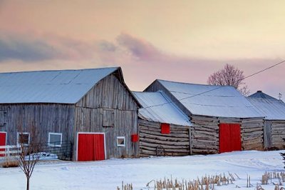 Red Barn Doors 20100204