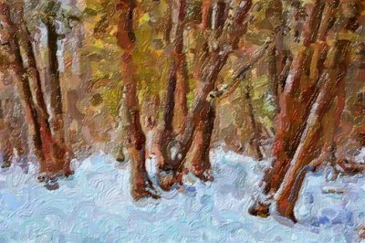 Sylvan Snowscape 14112 Art