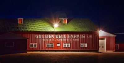 Golden Dell Barn 15229-31