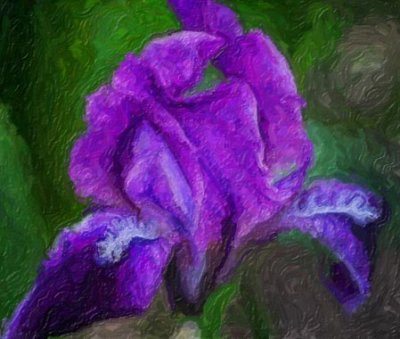 Purple Iris 53408 Art
