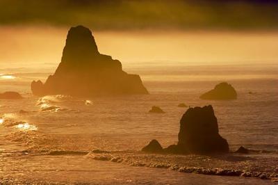 Coastal Rocks in Sunrise Mist