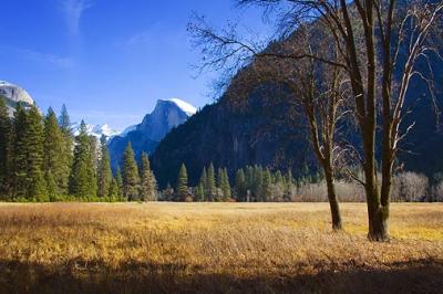 Yosemite Valley 23284
