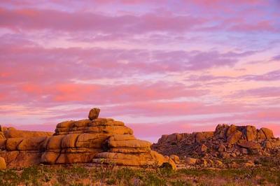 Joshua Tree Rocks at Sunrise 25450