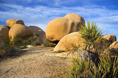 Joshua Tree Rocks 20060105-26042