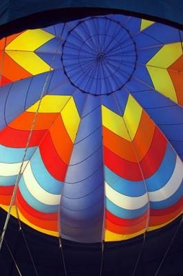 Polo Balloon Festival 26267