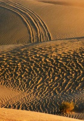 Imperial Sand Dunes 26565