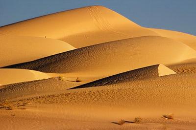 Imperial Sand Dunes 26539