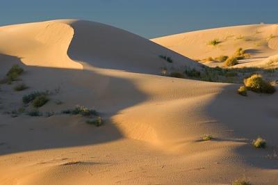 Imperial Sand Dunes 26620