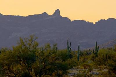 Desert At Sunrise 20060120