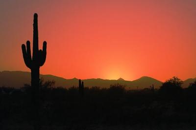 Desert Sunset 20060125