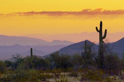 Arizona At Sunrise2
