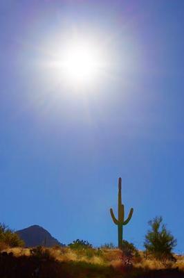 Saguaro in the Sun 20060130