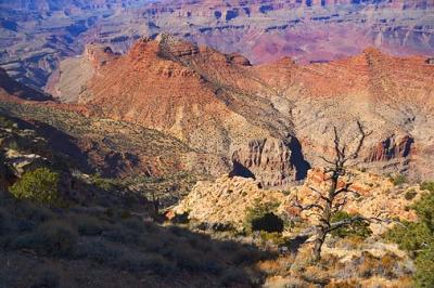 Grand Canyon 29960