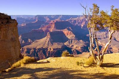 Grand Canyon 30101