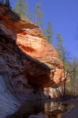 West Fork of Oak Creek 29717