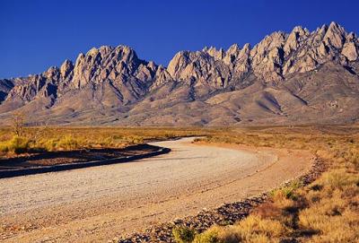 Road To The Organ Mountains