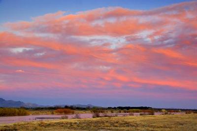 Rio Grande - Pretty In Pink