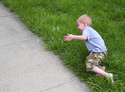g3/75/47975/3/58975276.ChasingBubbles_33937.jpg