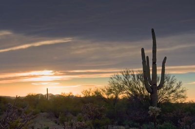 Desert Sunset 87012