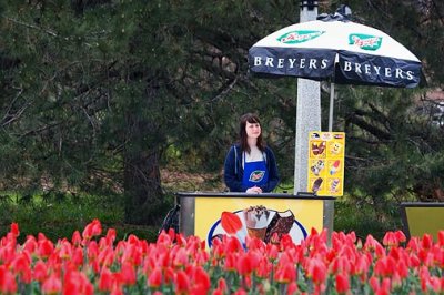 Ice Cream Vendor 88130