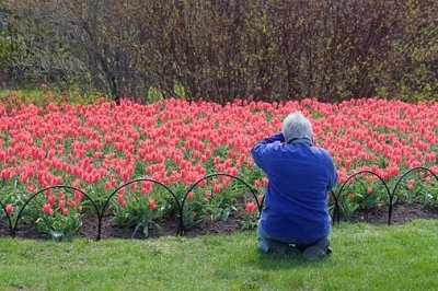 Shooting A Shooter 88159