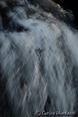 DSC_5956.jpg