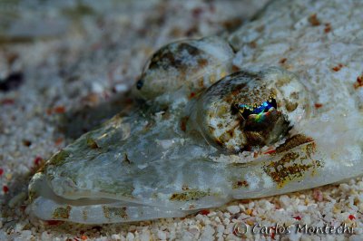 DSC_8673.jpg