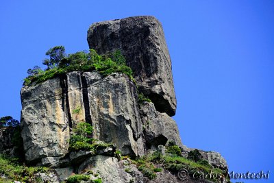 DSC_2708.jpg