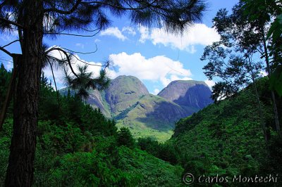 DSC_2711.jpg