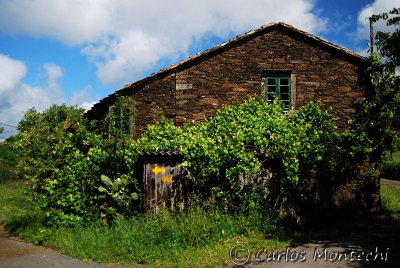 DSC_2422 copy.jpg