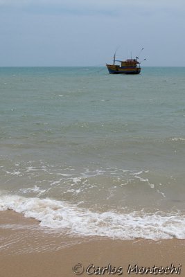 IMG_1169 copy.jpg