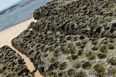 IMG_1788.jpg