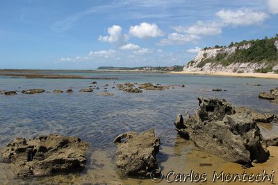 IMG_1809.jpg